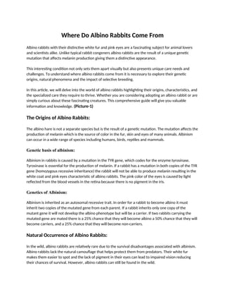 Where do Albino Rabbits Come From: Origins of Albino Rabbits | DOCX