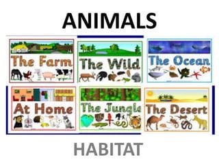 ANIMALS
HABITAT
 