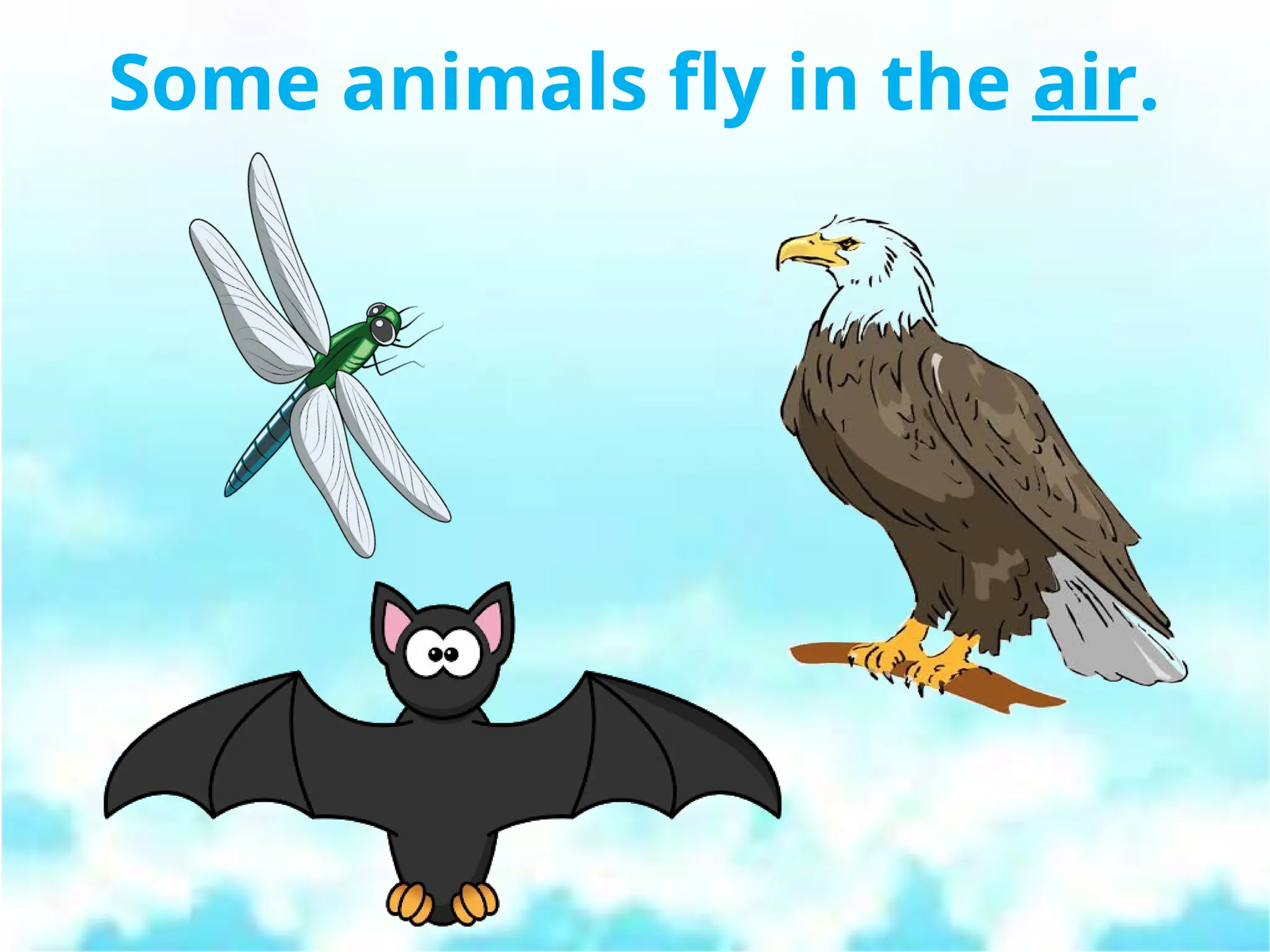 Some animals fly in the air.
 