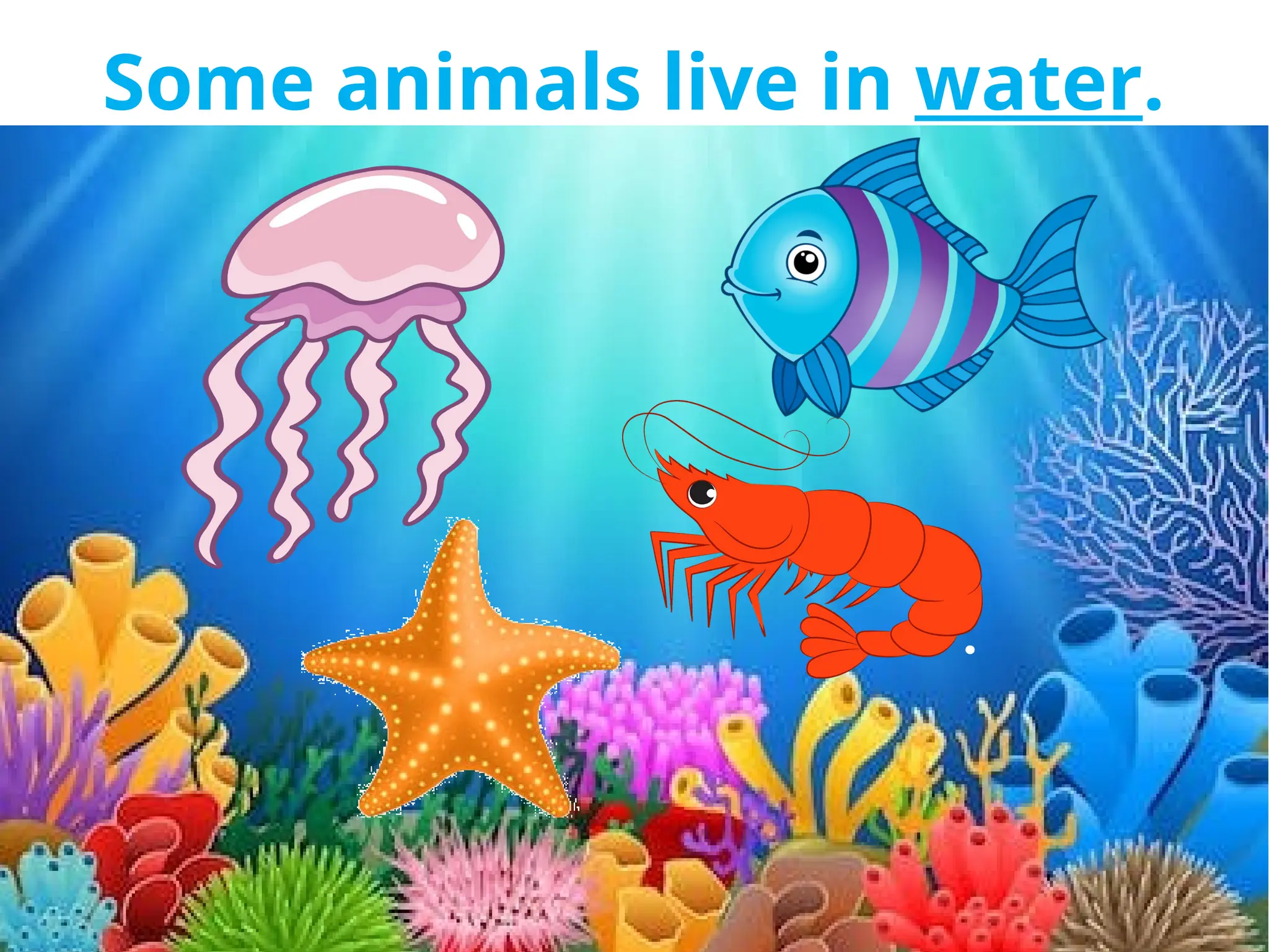 Some animals live in water.
 