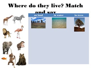 Where do they live? Match
and sayon land in water in trees
 