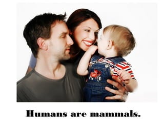 Humans are mammals.
 