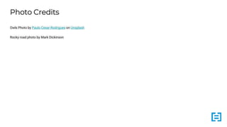 Photo Credits
Owls Photo by Paulo Cesar Rodrigues on Unsplash
Rocky road photo by Mark Dickinson
 