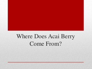 Where Does Acai Berry 
Come From? 
 