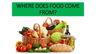 WHERE DOES FOOD COME
FROM?
 