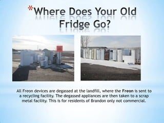 *




All Freon devices are degassed at the landfill, where the Freon is sent to
 a recycling facility. The degassed appliances are then taken to a scrap
   metal facility. This is for residents of Brandon only not commercial.
 