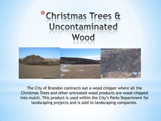 *




    The City of Brandon contracts out a wood chipper where all the
 Christmas Trees and other untreated wood products are wood chipped
into mulch. This product is used within the City’s Parks Department for
       landscaping projects and is sold to landscaping companies.
 