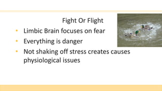 Fight Or Flight
• Limbic Brain focuses on fear
• Everything is danger
• Not shaking off stress creates causes
physiological issues
 