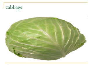 cabbage