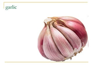 garlic