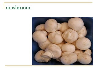 mushroom