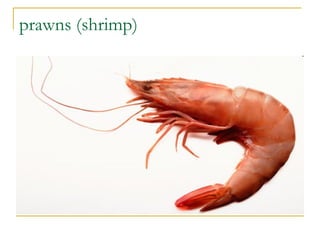 prawns (shrimp)