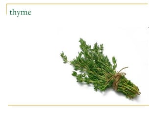 thyme