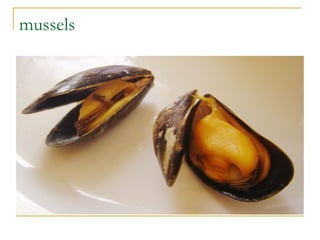 mussels