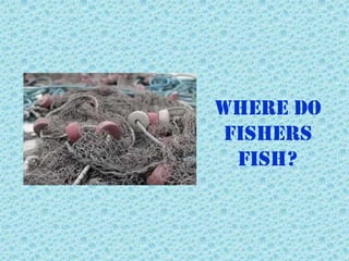 WHERE DO
 FISHERS
  FISH?
 