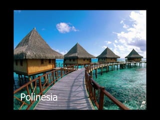 Polinesia 