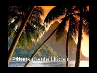 Pittons (Santa Llcia) 