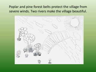 Poplar and pine forest belts protect the village from
severe winds. Two rivers make the village beautiful.
 