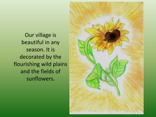 Our village is
beautiful in any
season. It is
decorated by the
flourishing wild plains
and the fields of
sunflowers.
 