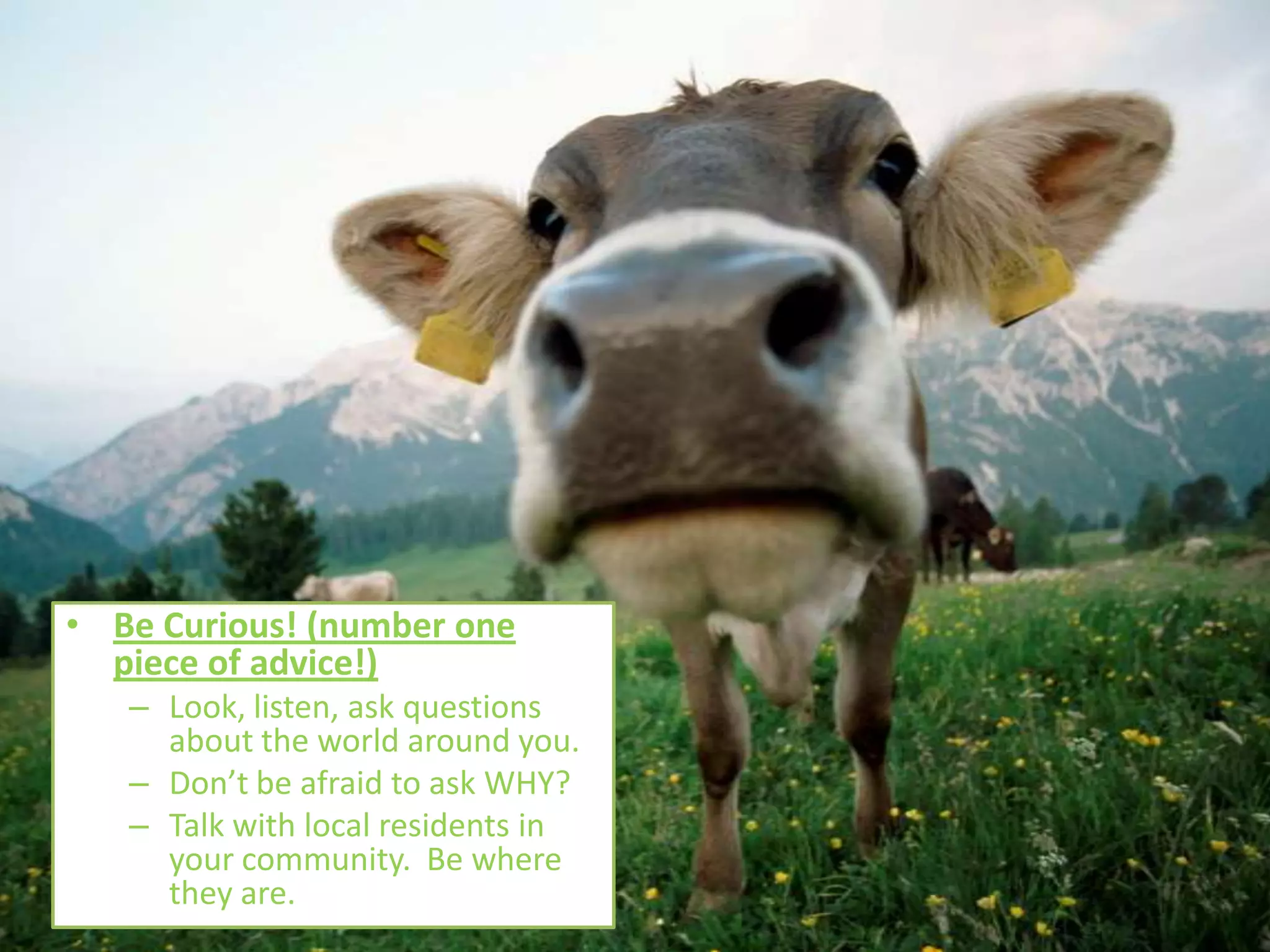 • Be Curious! (number one
  piece of advice!)
   – Look, listen, ask questions
     about the world around you.
   – Don’t be afraid to ask WHY?
   – Talk with local residents in
     your community. Be where
     they are.
 