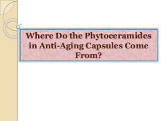Where Do the Phytoceramides
in Anti-Aging Capsules Come
From?
 