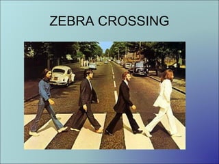 ZEBRA CROSSING

 