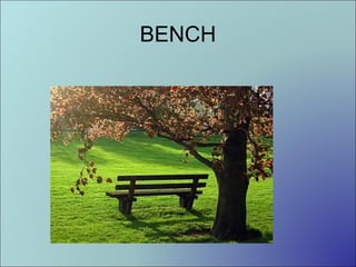 BENCH

 