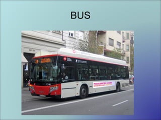 BUS

 