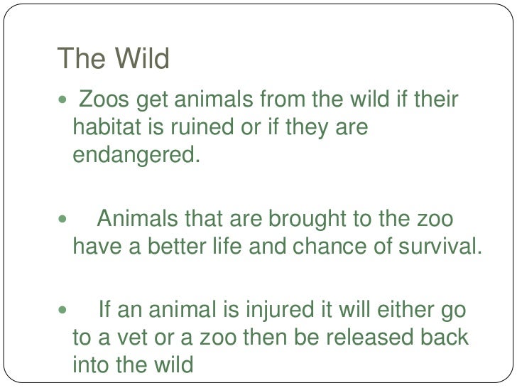 Where do zoos get their animals from