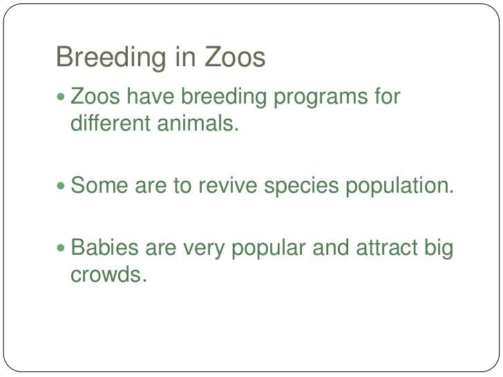 Where do zoos get their animals from