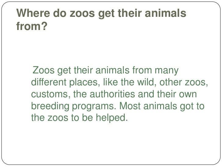 Where do zoos get their animals from