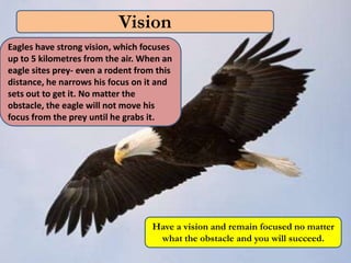 Vision
Eagles have strong vision, which focuses
up to 5 kilometres from the air. When an
eagle sites prey- even a rodent from this
distance, he narrows his focus on it and
sets out to get it. No matter the
obstacle, the eagle will not move his
focus from the prey until he grabs it.




                                    Have a vision and remain focused no matter
                                     what the obstacle and you will succeed.
 