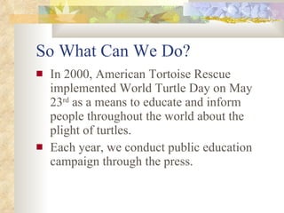 So What Can We Do? <ul><li>On May 23 rd  2000, American Tortoise Rescue established World Turtle Day as a means to educate...