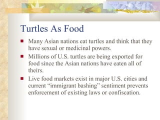 Turtles As Food <ul><li>Many Asian peoples eat turtles and think that they have sex-enhancing or medicinal powers. </li></...