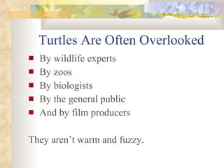 Turtles Are Often Overlooked <ul><li>By wildlife experts </li></ul><ul><li>By zoos </li></ul><ul><li>By biologists </li></...