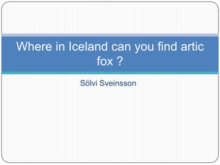 Sölvi Sveinsson
Where in Iceland can you find artic
fox ?
 
