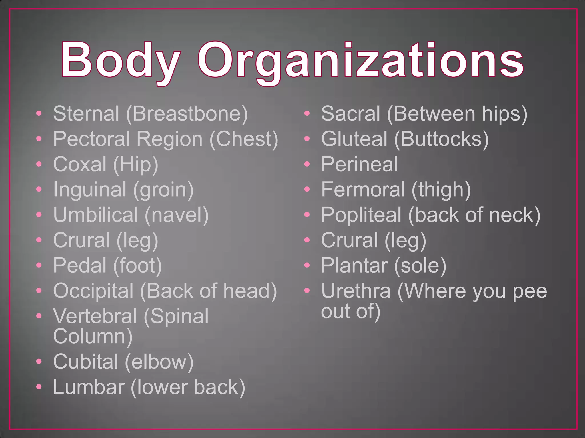 • Sternal (Breastbone)       •   Sacral (Between hips)
• Pectoral Region (Chest)    •   Gluteal (Buttocks)
• Coxal (Hip)                •   Perineal
• Inguinal (groin)           •   Fermoral (thigh)
• Umbilical (navel)          •   Popliteal (back of neck)
• Crural (leg)               •   Crural (leg)
• Pedal (foot)               •   Plantar (sole)
• Occipital (Back of head)   •   Urethra (Where you pee
• Vertebral (Spinal              out of)
  Column)
• Cubital (elbow)
• Lumbar (lower back)
 