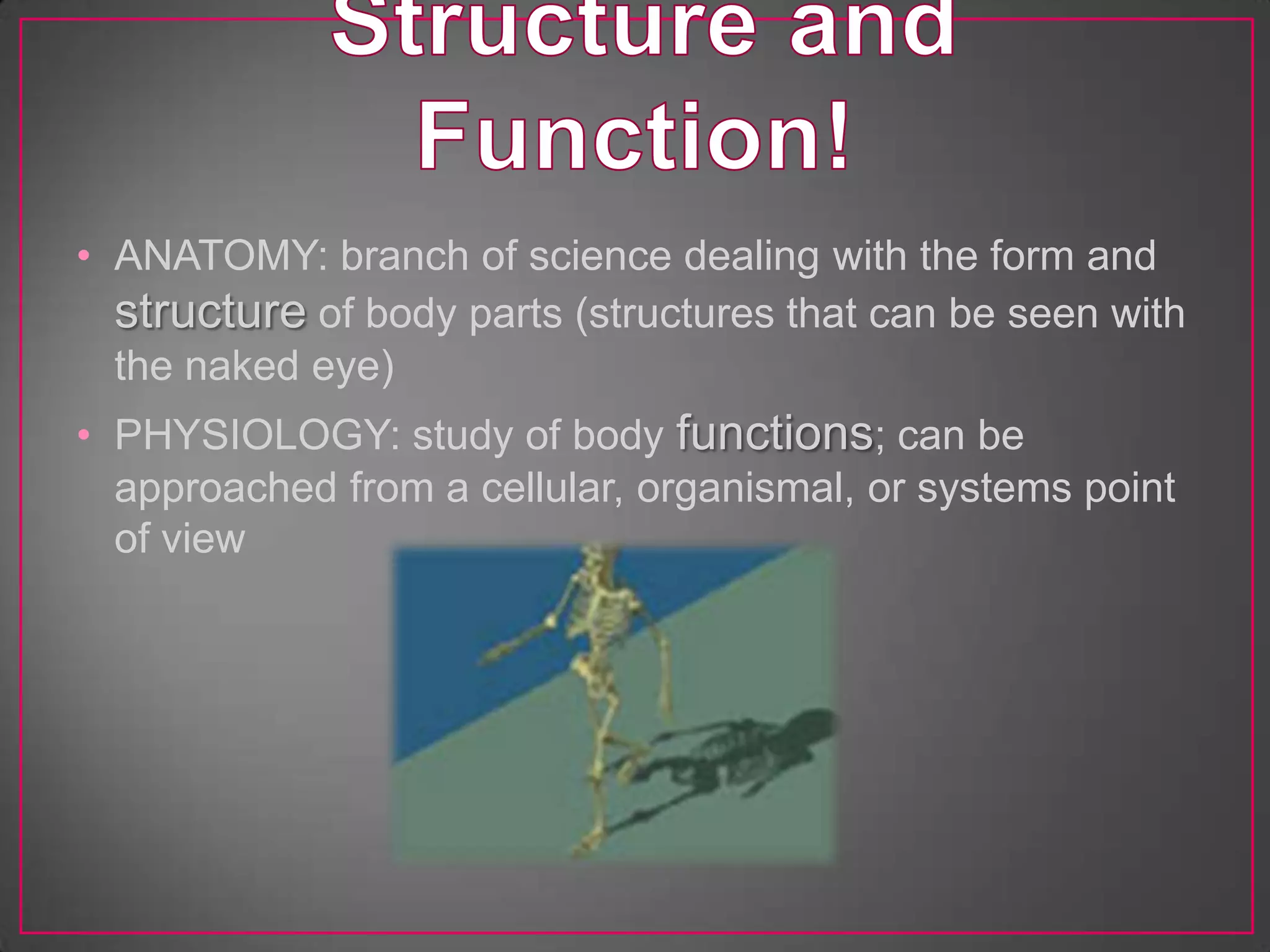 • ANATOMY: branch of science dealing with the form and
  structure of body parts (structures that can be seen with
  the naked eye)
• PHYSIOLOGY: study of body functions; can be
  approached from a cellular, organismal, or systems point
  of view
 