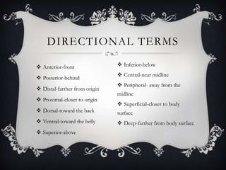 DIRECTIONAL TERMS

 Anterior-front                Inferior-below
                                Central-near midline
 Posterior-behind
                                Peripheral- away from the
 Distal-farther from origin
                               midline
 Proximal-closer to origin
                                Superficial-closer to body
 Dorsal-toward the back       surface
 Ventral-toward the belly      Deep-farther from body surface
 Superior-above
 