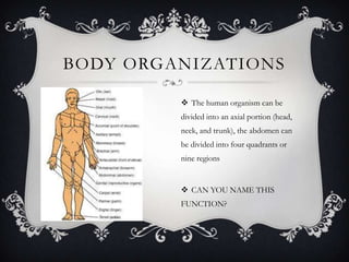 BODY ORGANIZATIONS

          The human organism can be
         divided into an axial portion (head,
         neck, and trunk), the abdomen can
         be divided into four quadrants or
         nine regions


          CAN YOU NAME THIS
         FUNCTION?
 