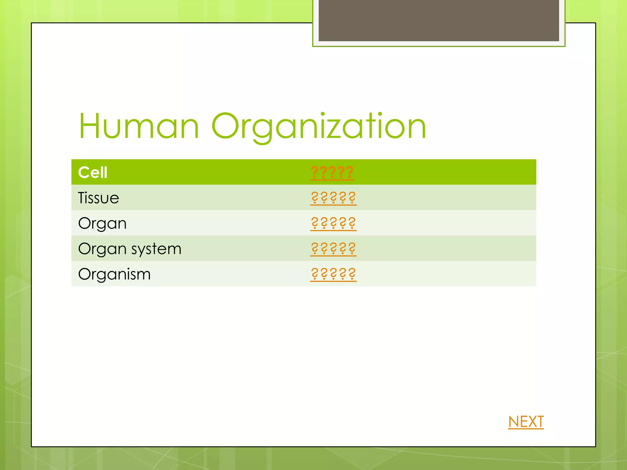 Human Organization
Cell           ?????
Tissue         ?????
Organ          ?????
Organ system   ?????
Organism       ?????




                       NEXT
 