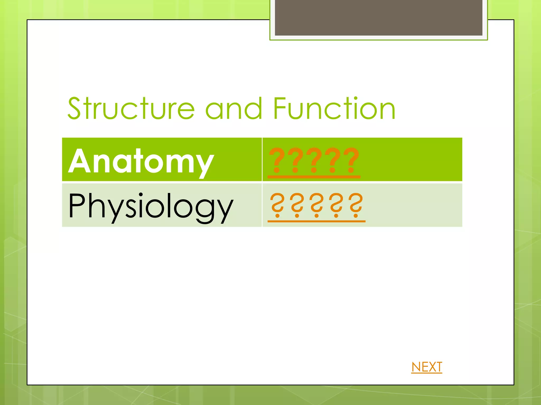 Structure and Function
Anatomy      ?????
Physiology   ?????



                         NEXT
 