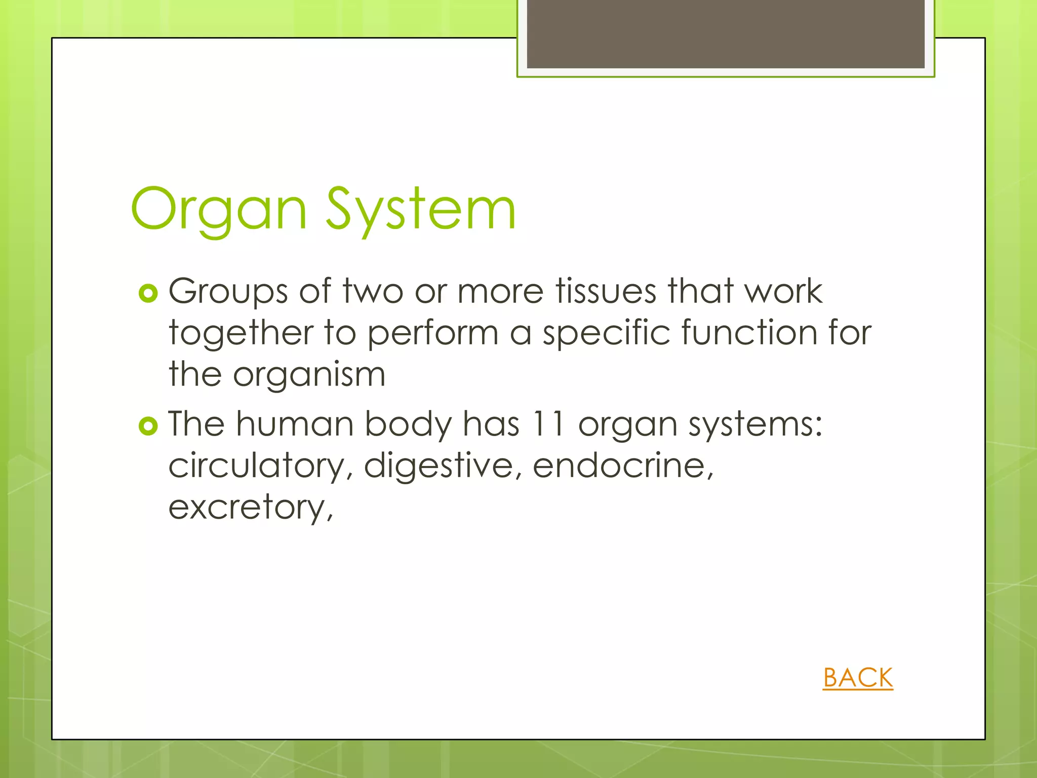 Organ System
 Groups  of two or more tissues that work
  together to perform a specific function for
  the organism
 The human body has 11 organ systems:
  circulatory, digestive, endocrine,
  excretory,



                                          BACK
 
