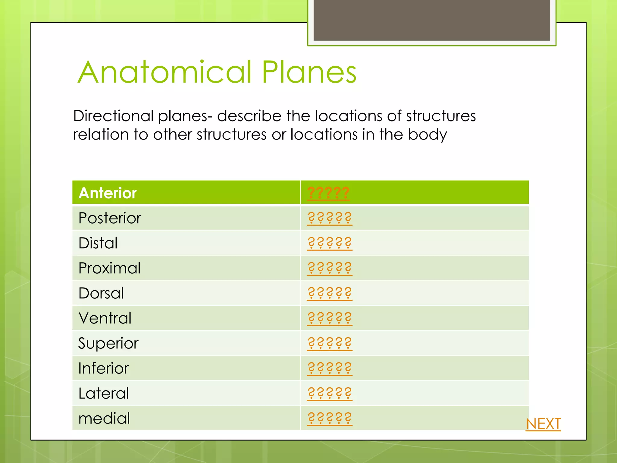 Anatomical Planes
Directional planes- describe the locations of structures
relation to other structures or locations in the body


Anterior                        ?????
Posterior                       ?????
Distal                          ?????
Proximal                        ?????
Dorsal                          ?????
Ventral                         ?????
Superior                        ?????
Inferior                        ?????
Lateral                         ?????
medial                          ?????                      NEXT
 