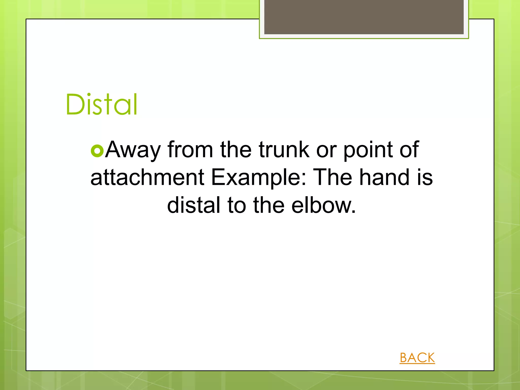 Distal
  Away  from the trunk or point of
  attachment Example: The hand is
         distal to the elbow.




                               BACK
 