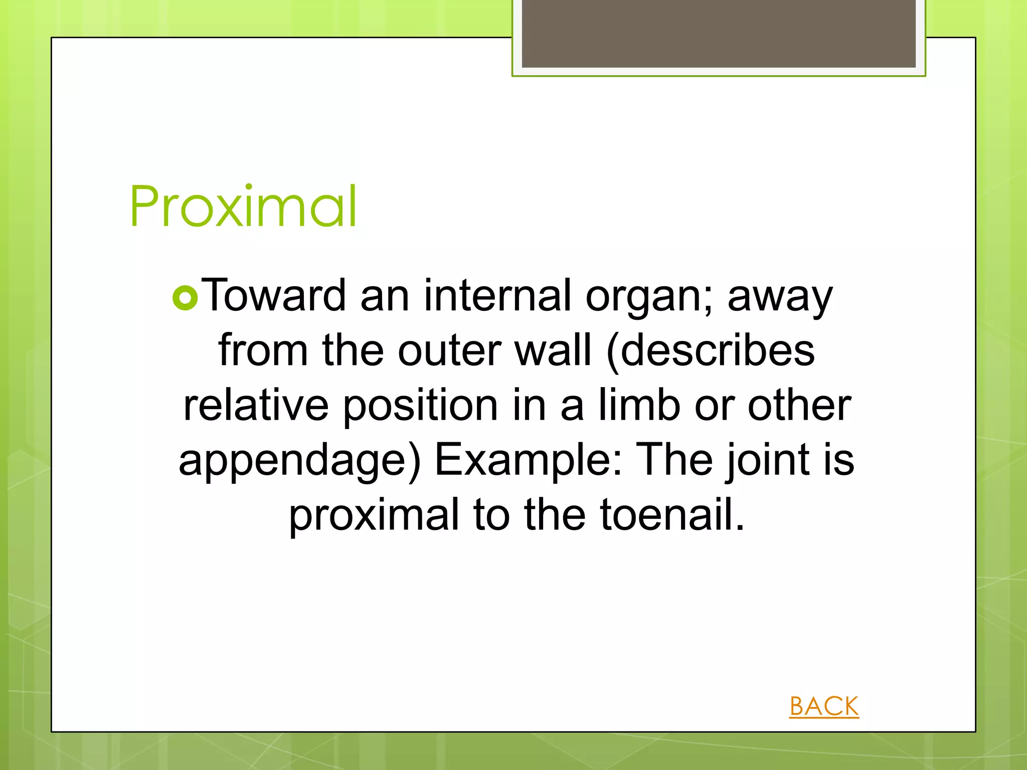 Proximal
 Toward   an internal organ; away
   from the outer wall (describes
 relative position in a limb or other
 appendage) Example: The joint is
       proximal to the toenail.



                                 BACK
 
