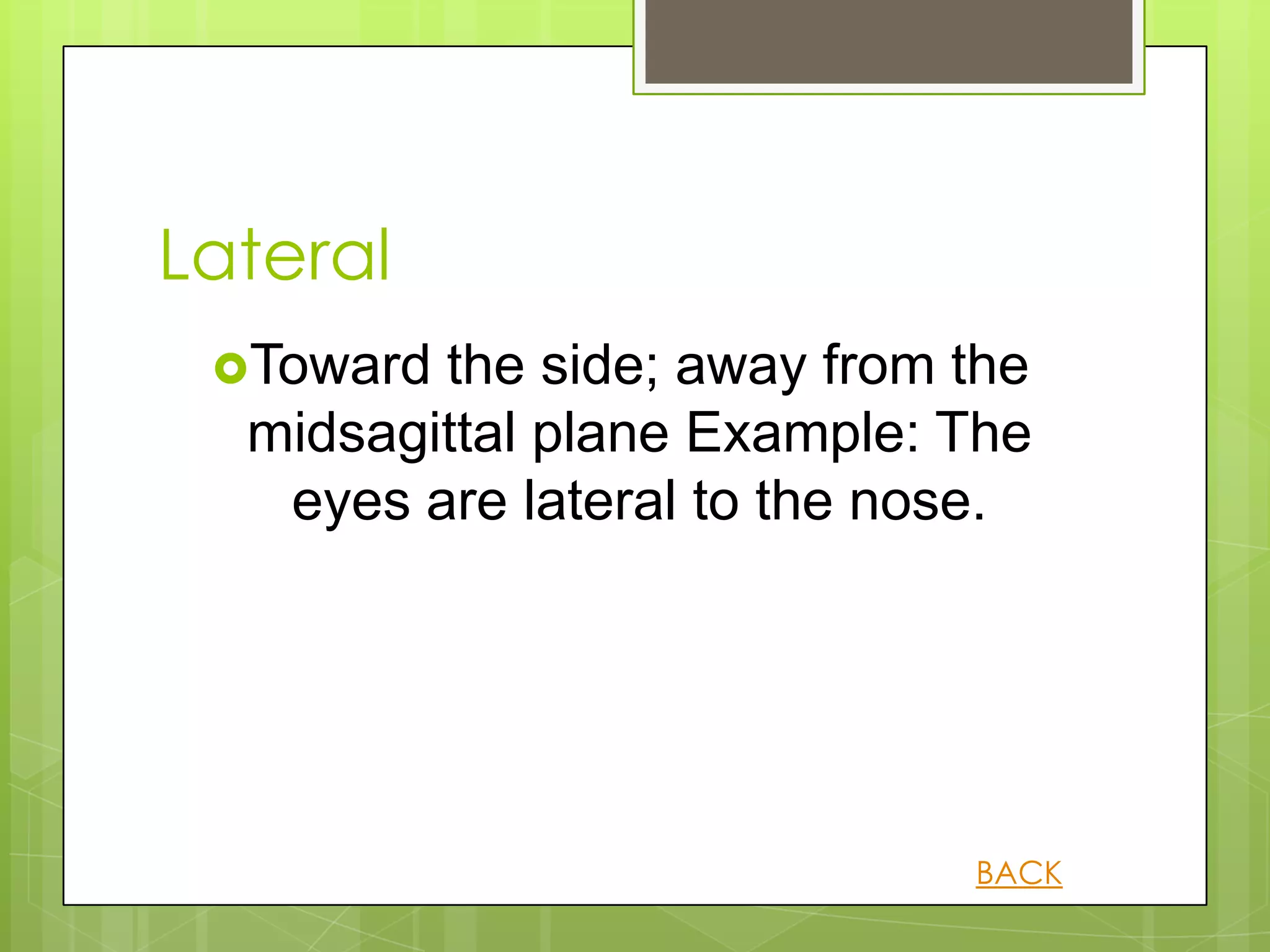 Lateral
 Toward the side; away from the
  midsagittal plane Example: The
   eyes are lateral to the nose.




                             BACK
 