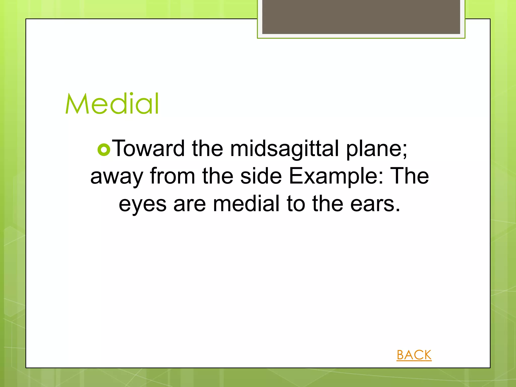 Medial
  Toward the midsagittal plane;
 away from the side Example: The
   eyes are medial to the ears.




                            BACK
 