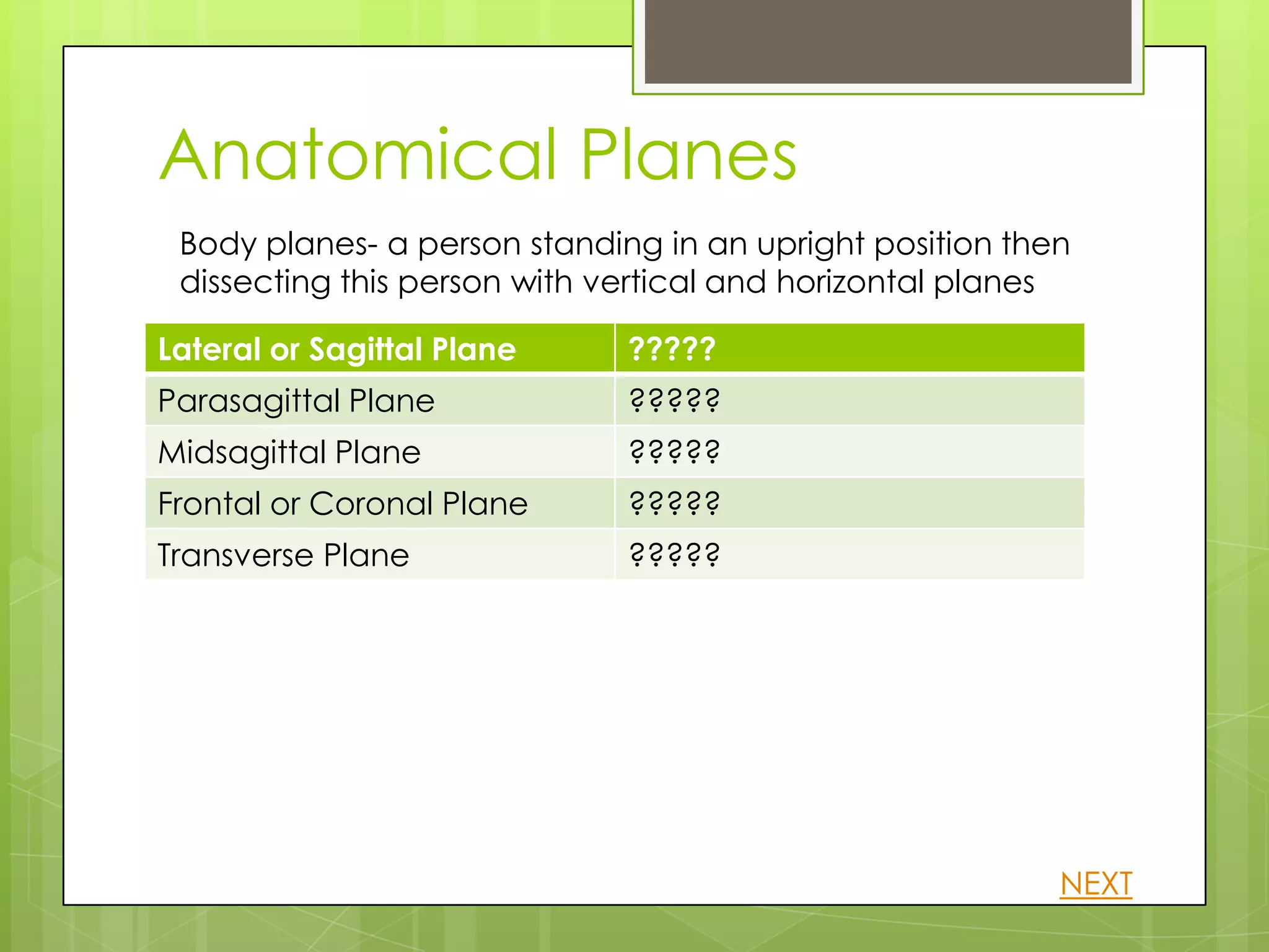 Anatomical Planes
 Body planes- a person standing in an upright position then
 dissecting this person with vertical and horizontal planes

Lateral or Sagittal Plane     ?????
Parasagittal Plane            ?????
Midsagittal Plane             ?????
Frontal or Coronal Plane      ?????
Transverse Plane              ?????




                                                          NEXT
 