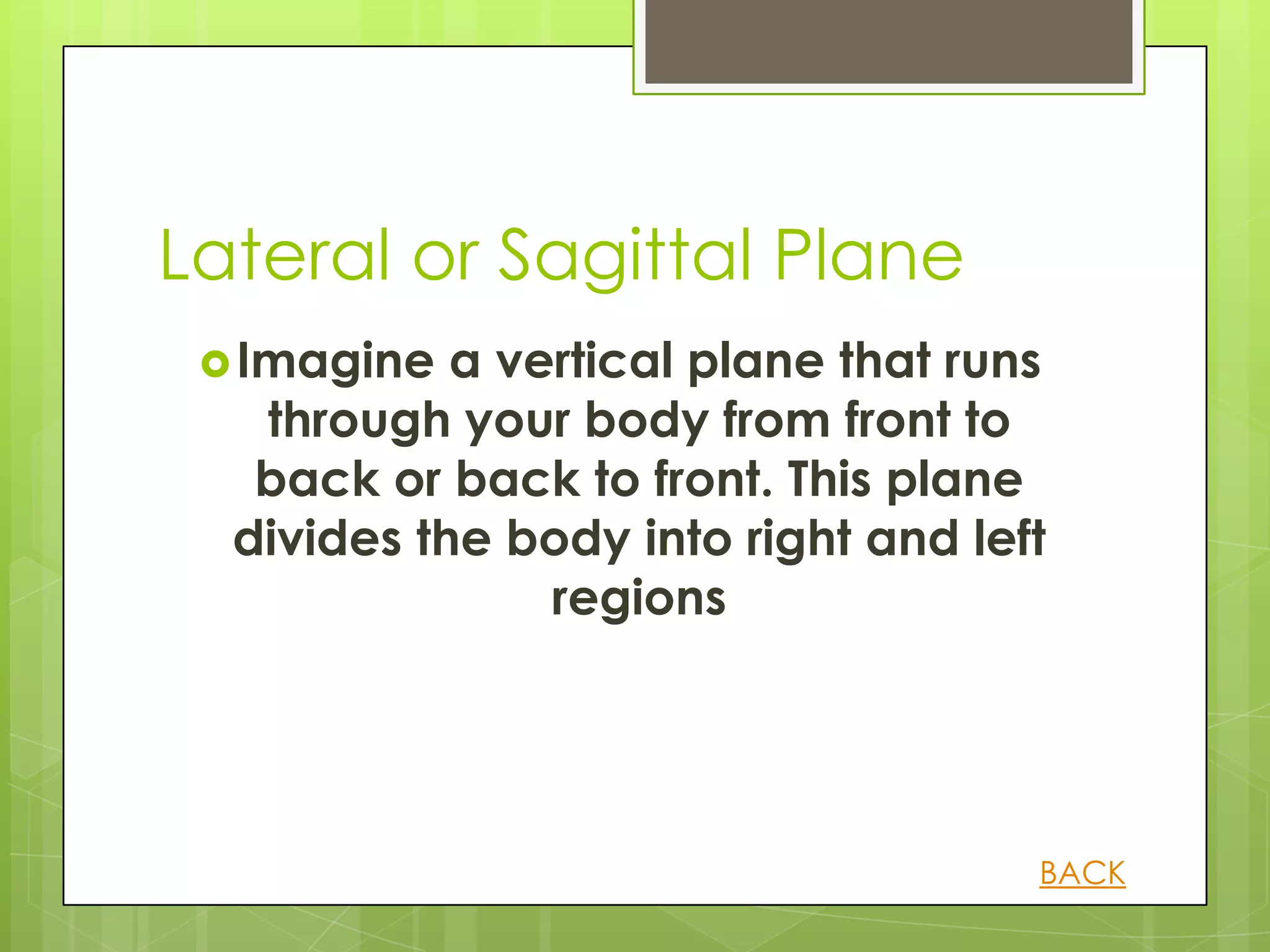 Lateral or Sagittal Plane
  Imagine  a vertical plane that runs
   through your body from front to
   back or back to front. This plane
  divides the body into right and left
                regions




                                     BACK
 